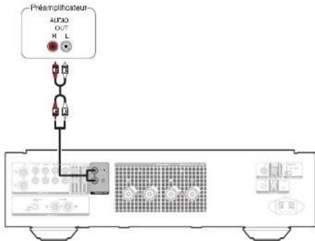 MARANTZ PMKI RUBY - Connexion d'un préamplificateur - 1