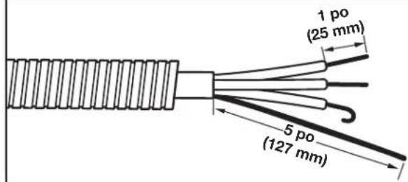 MAYTAG MED7230HC - Préparer le cable à 4 fils pour un raccordement direct - 1