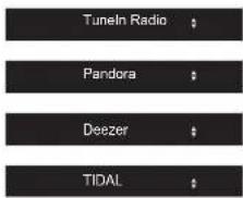 ONKYO TX8260 - Radio por Internet - 3
