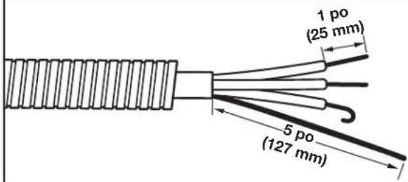 WHIRLPOOL WED8120HW - Préparer le câble à 4 fils pour un raccordement direct - 1