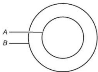 A B