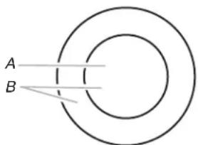 A B
