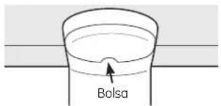 Bolsa