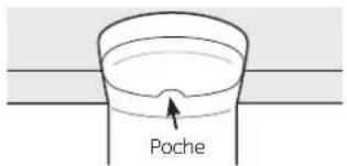 Poche