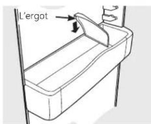 L'ergot