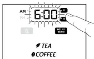 NINJA CP307 - RéGLAGE DE LE DELAY BREW (INFUSION DIFFEREE) - 1