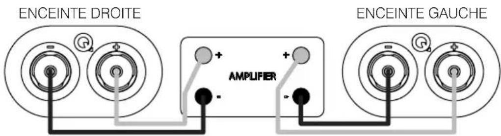 Q-ACOUSTICS 3030i - Connexions standard - 1