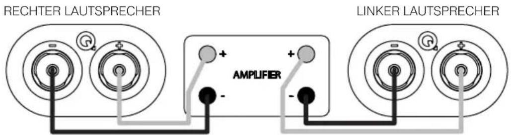 Q-ACOUSTICS 3030i - Standardanschlisse - 1
