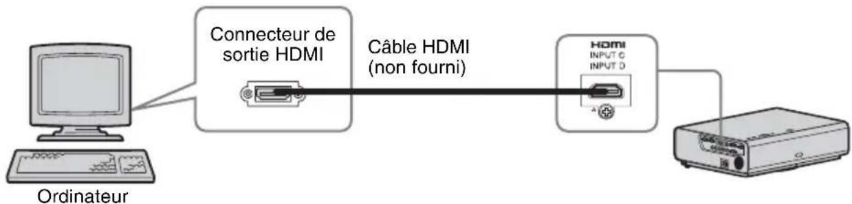 SONY VPLCW276 - INPUT C/INPUT D - 1