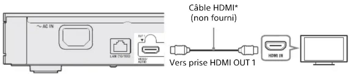SONY UBPX1100ES - Raccordement à votre téléviseur - 1
