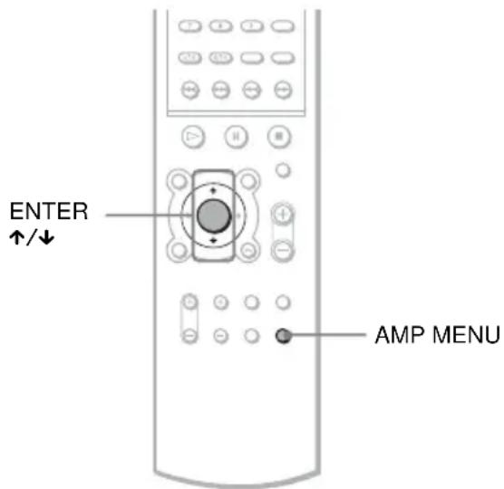 SONY AVDS500ES - Sélection du décodage prioritaire - 2