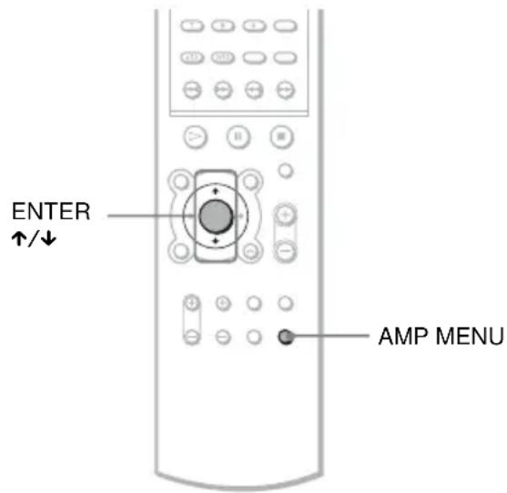SONY AVDS500ES - DVD - 1