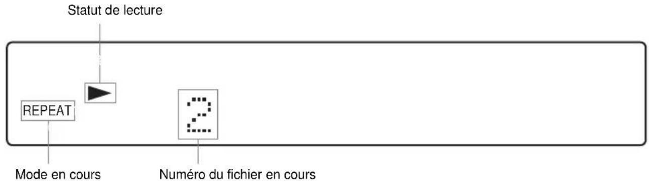 SONY AVDS500ES - Pendant la lecture d'un fichier JPEG - 1
