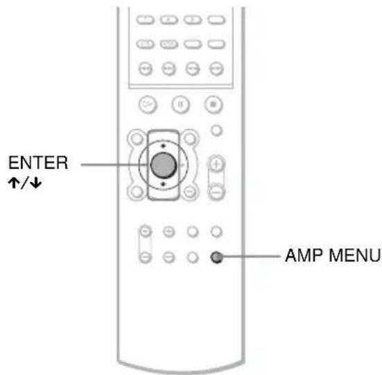 SONY AVDS500ES - Advanced setting - 1