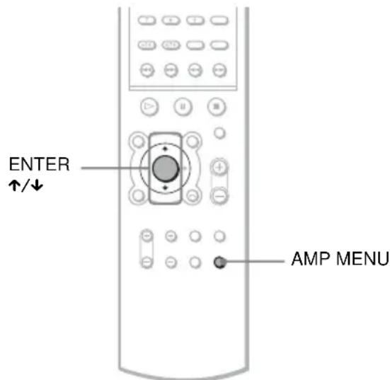 SONY AVDS500ES - Réglage avancé - 1