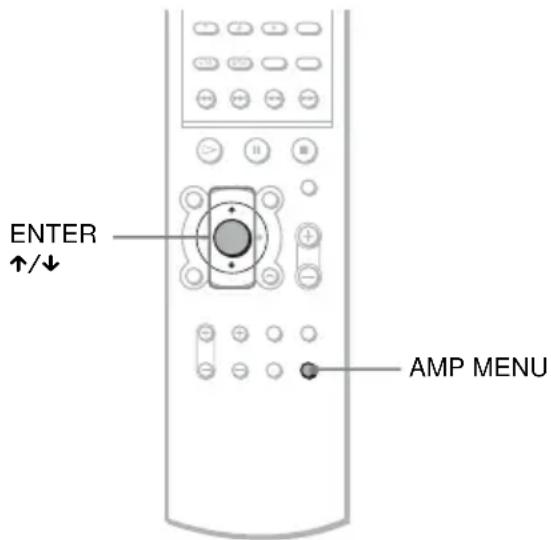 SONY AVDS500ES - DVD - 1