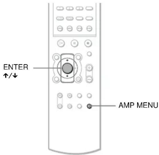 SONY AVDS500ES - Selecting the Decode Priority - 5