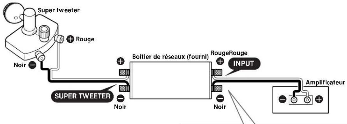SONY SSTW100ED - Raccordement à un amplificateur - 1