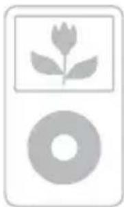 SONY DAVHDX275 - Compatible iPod models - 2