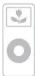 SONY DAVHDX275 - Modelos de iPod compatibles - 3