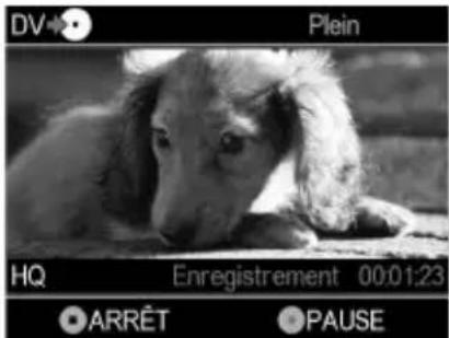 DV Plein HQ Enregistrement 00:01:23 ARRÊT PAUSE