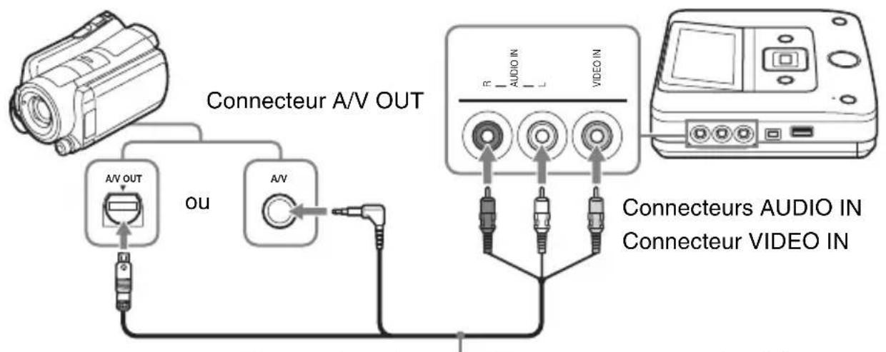 Connecteur A/V OUT A/V OUT ou A/V Connecteurs AUDIO IN Connecteur VIDEO IN