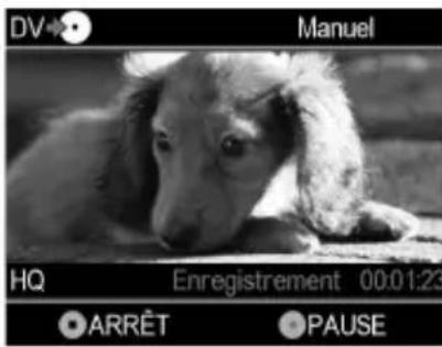 DV→ Manuel HQ Enregistrement 00:01:23 ARRÊT PAUSE