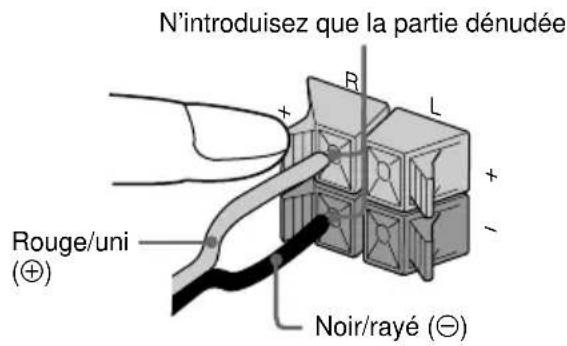 SONY MHCRG4SR - Raccordez les enceintes surround. (MHC-RG4SR seulement) - 1