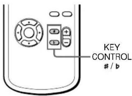 SONY MHCV818 - Réglage de la tonalité - 1