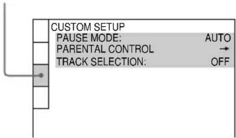 SONY MHCDP1000D - -CUSTOM SETUP - 1