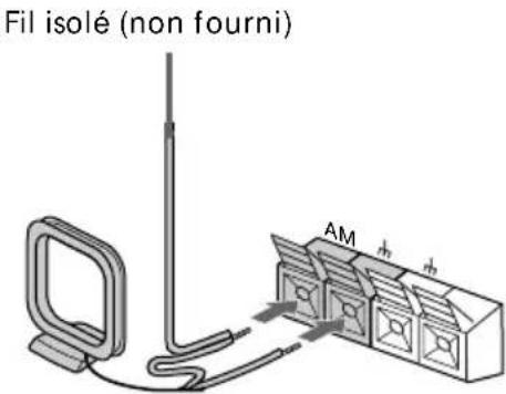 SONY MHCNX1 - Type de prise B - 1