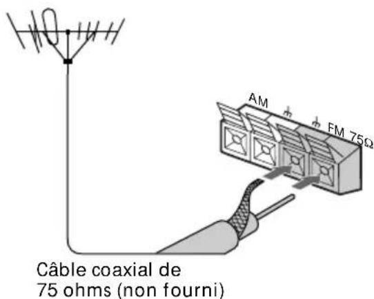 SONY MHCNX1 - Type de prise B - 1