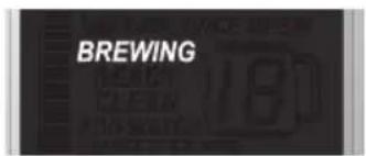 WOLF WGCM100S - MODO ACCU-BREW - 8
