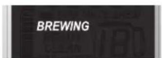 WOLF WGCM100S - MODE ACCU-BREW (infusion précise) - 8