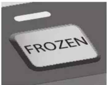 WOLF WGTR124S - BAGEL - 1