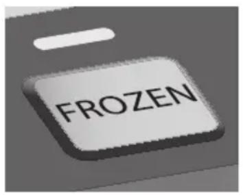 WOLF WGTR124S - BAGEL - 1