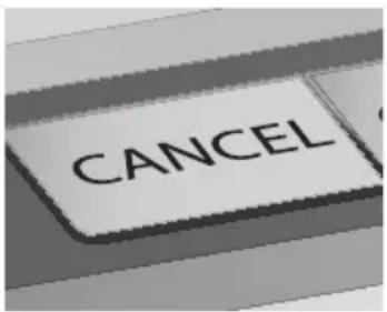 WOLF WGTR124S - FROZEN (congelé) - 2