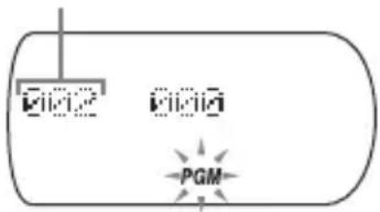 SONY Discman DNE718CK - Lecture des plages dans l'ordre de votrechioix (Lecture PGM) - 5