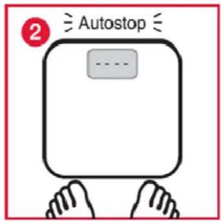 Orbegozo PB 2216 - OPERACAO - 2