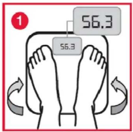 Orbegozo PB 2216 - OPERACAO - 1