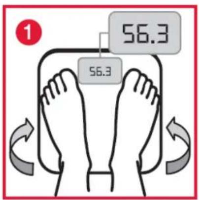 Orbegozo PB 2216 - OPERATION - 1