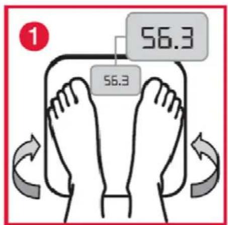 Orbegozo PB 2216 - Avertissements importants - 1
