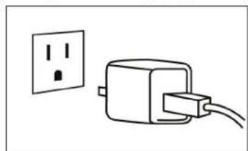 CELESTRON MicroDirect - CONNECT TO A MONITOR OR PROJECTOR - 2