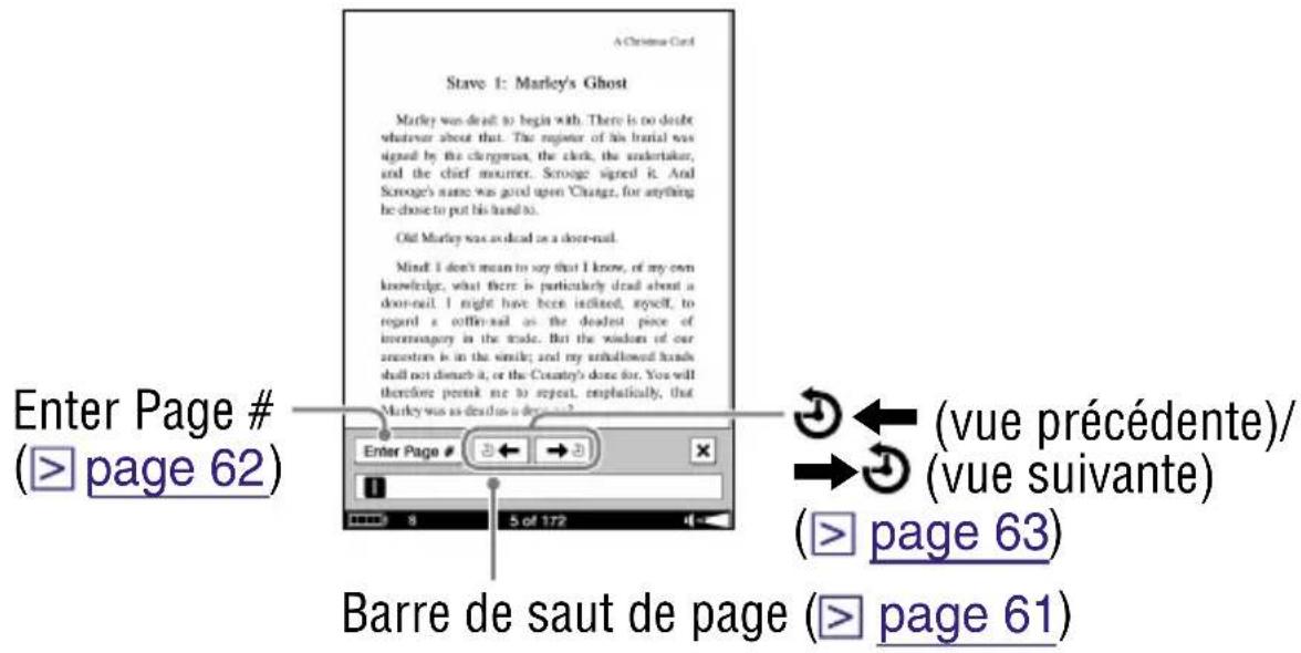 SONY Reader PRS700 - Conseil - 1