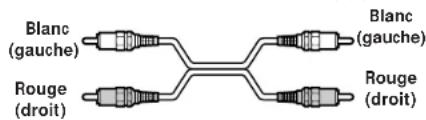 SONY DTCA6 - AVERTISSEMENT - 1