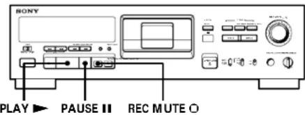 SONY DTCA6 - Inserting a Sound-Muted Section While Recording (Record Muting) - 1
