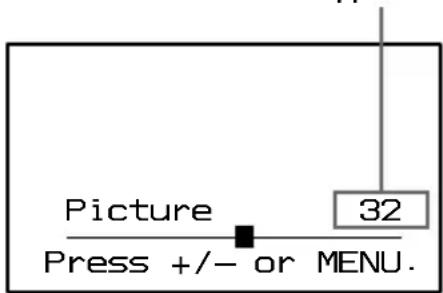 SONY MV900SDS - Changing the display settings - 1