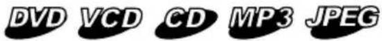SONY MV900SDS - Playing a disc - 1