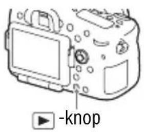SONY Alpha ILCA77M2Q - Druk op de knop. - 1