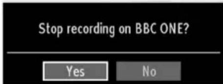 MANHATTAN MT42906FHD12 - Instant Recording - 3